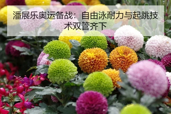 潘展乐奥运备战：自由泳耐力与起跳技术双管齐下